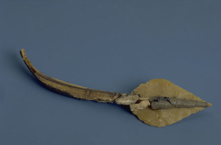 A photograph of a leaf-shaped arrowhead with a fragment of shaft attached 